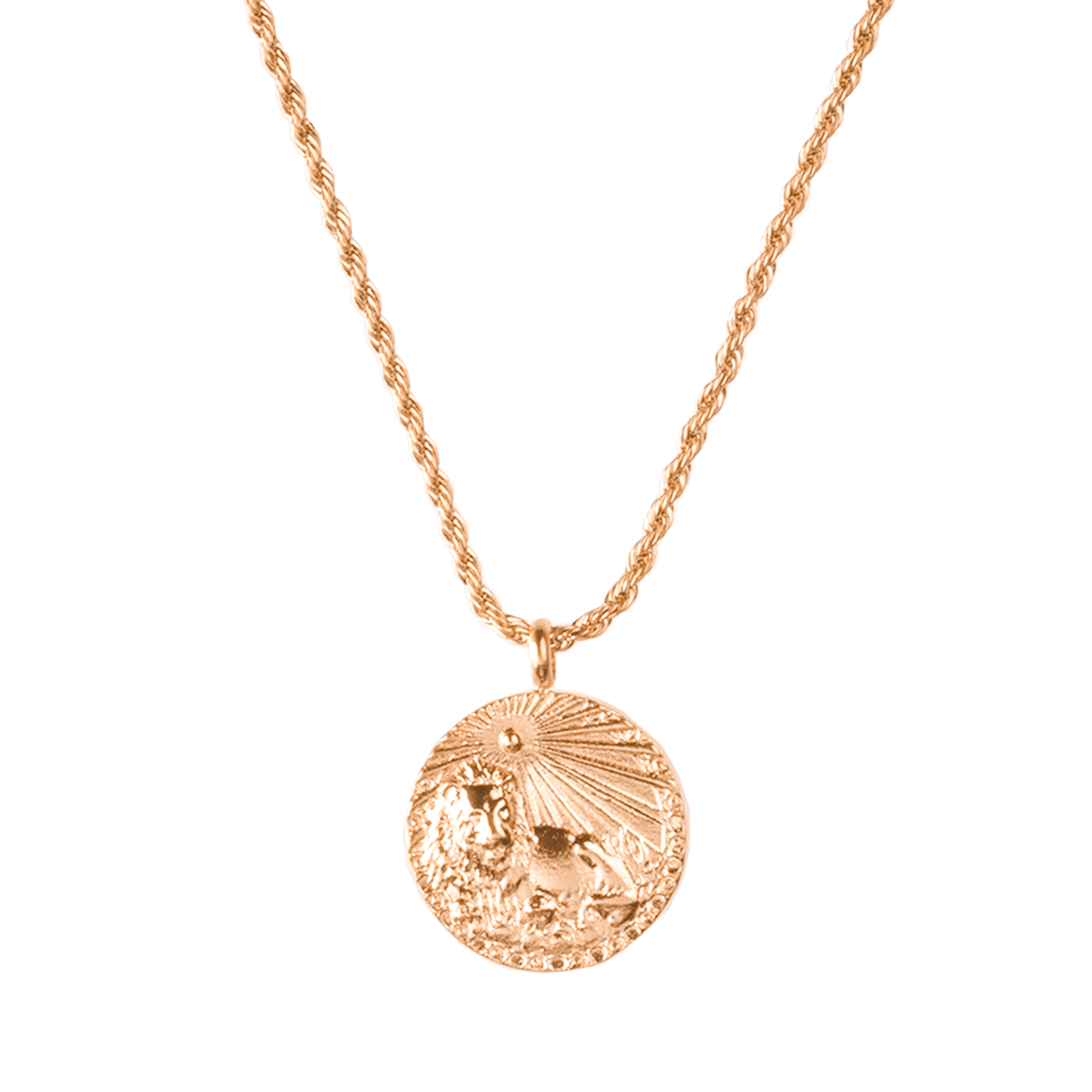 Zodiac Sign Necklace Rose Gold