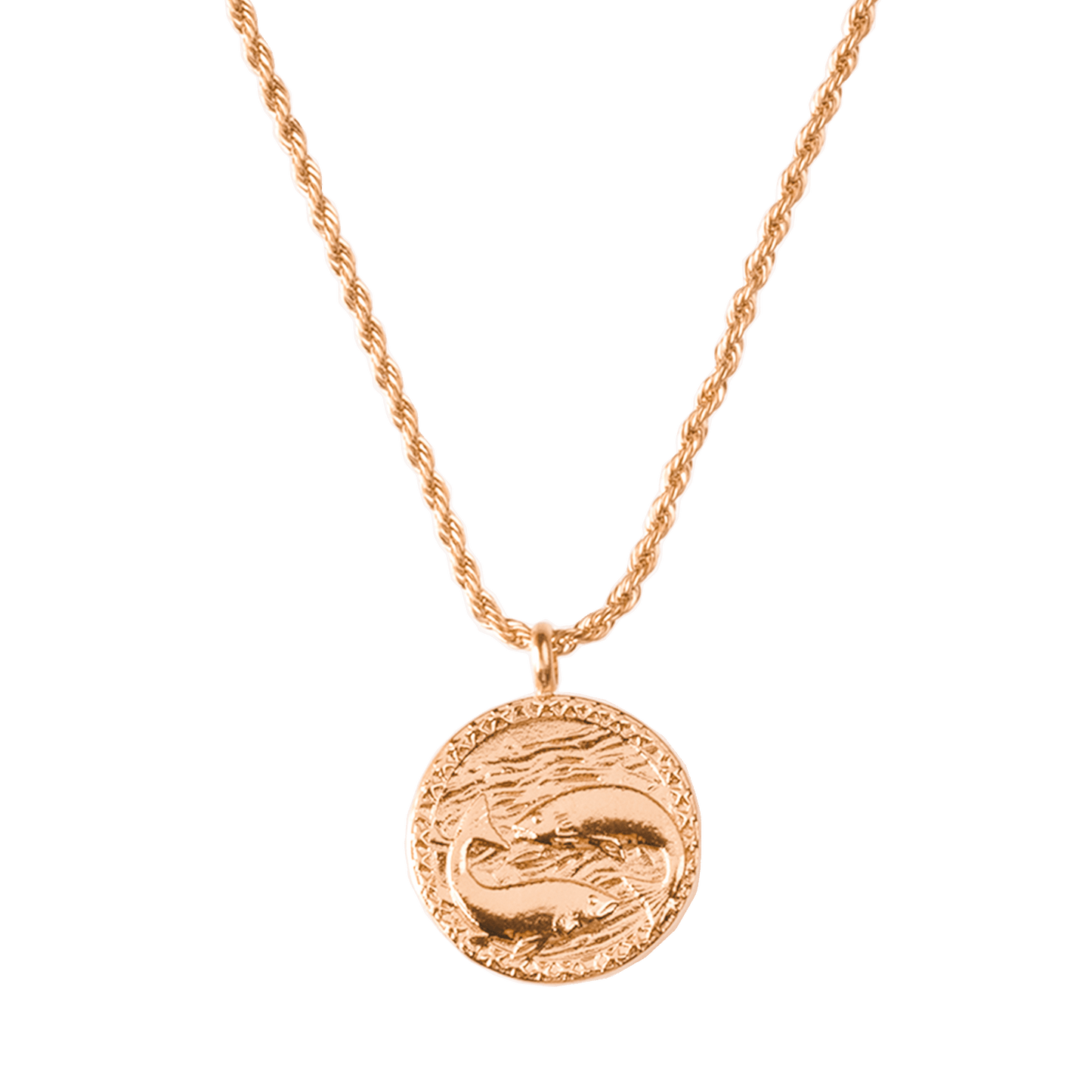 Zodiac Sign Necklace Rose Gold