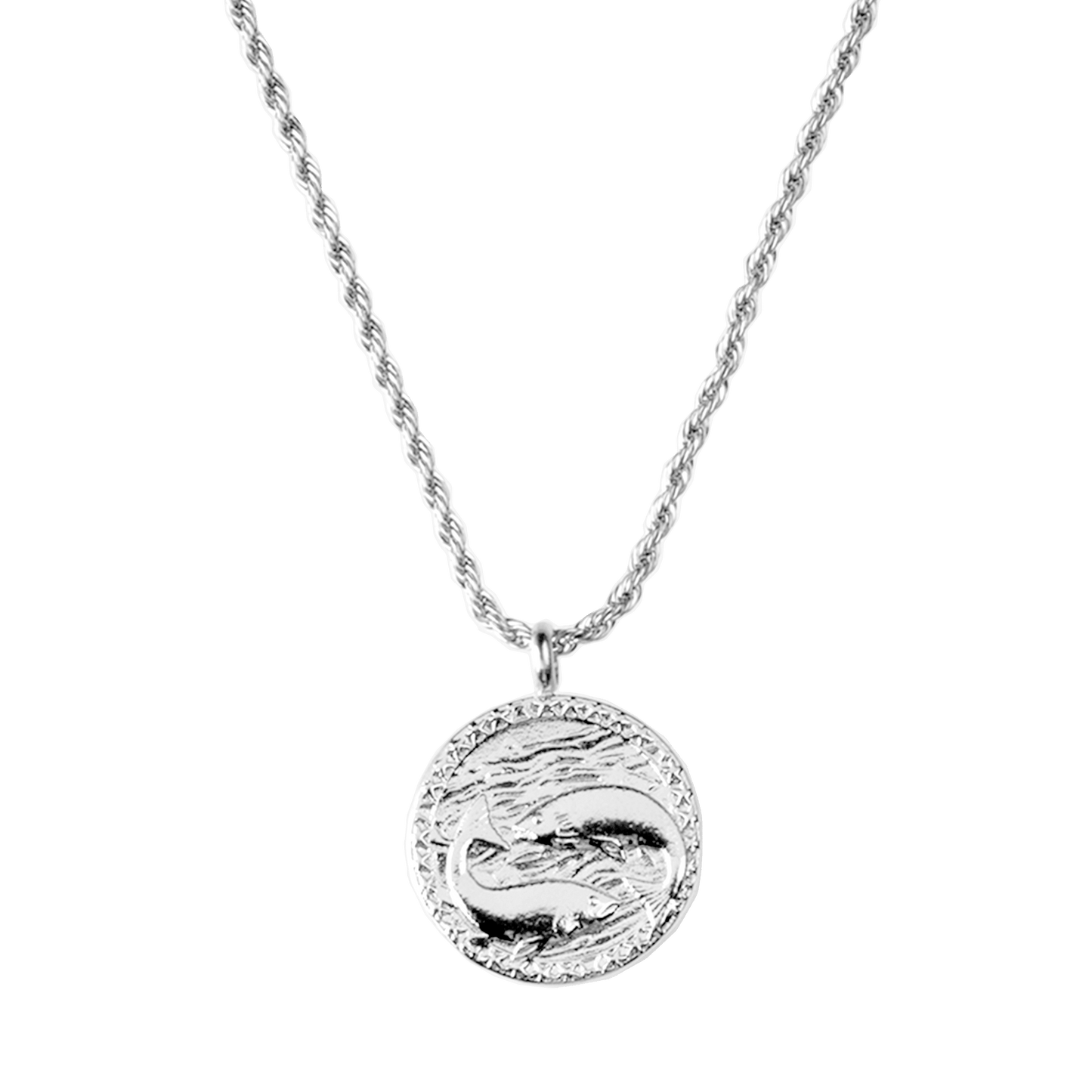 Zodiac Sign Necklace Silver