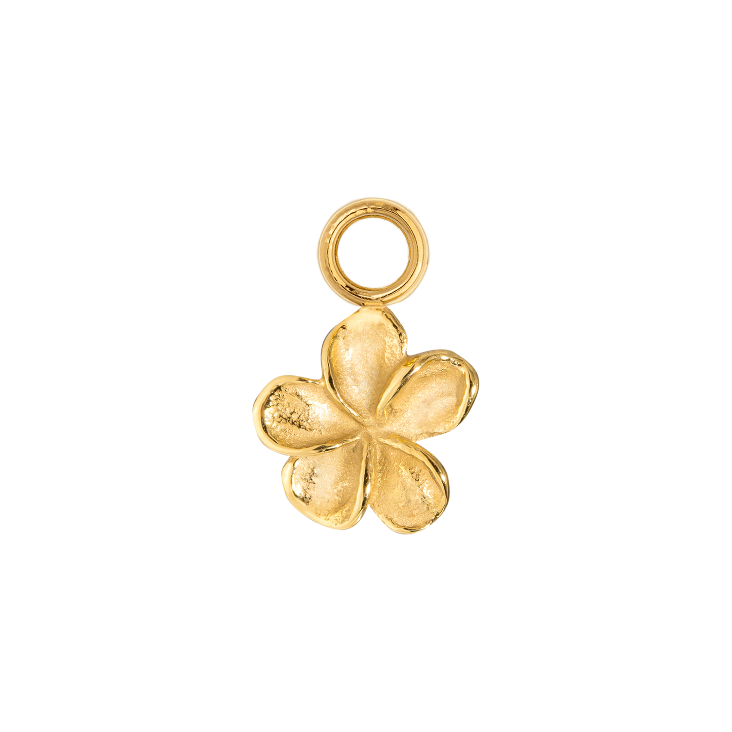 Flora Oval Hoop Set Small Gold