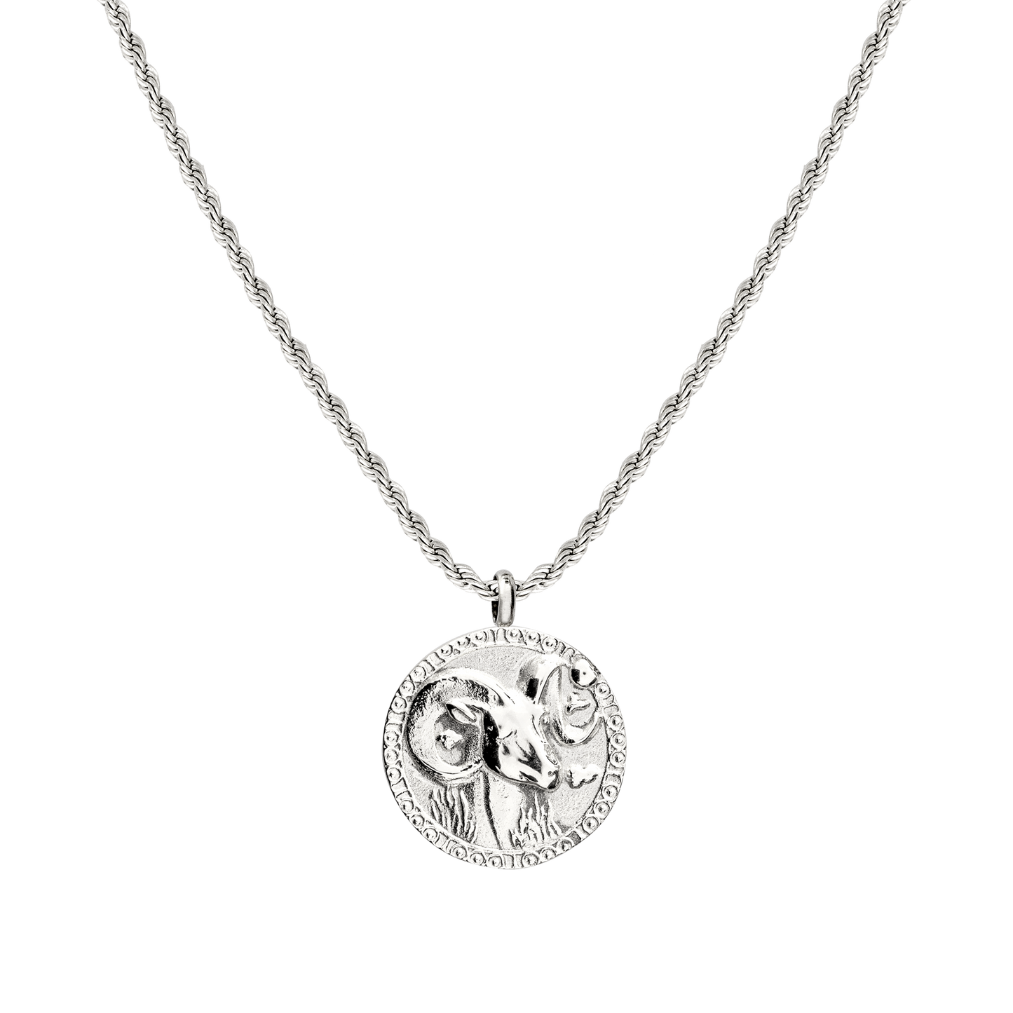 Zodiac Sign Necklace Silver