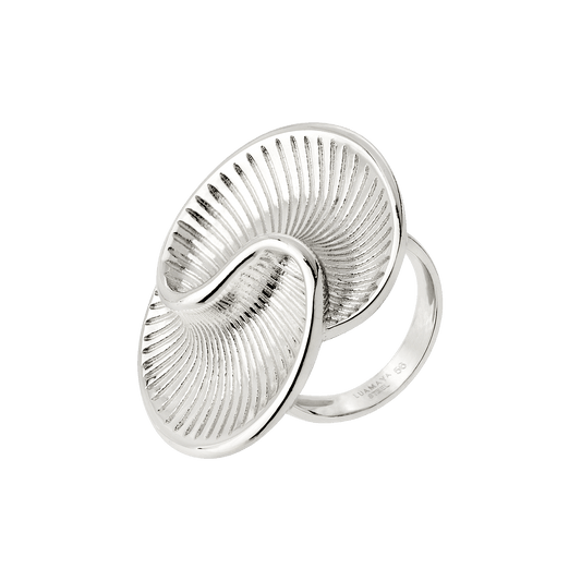 Winding Spiral Ring Silver