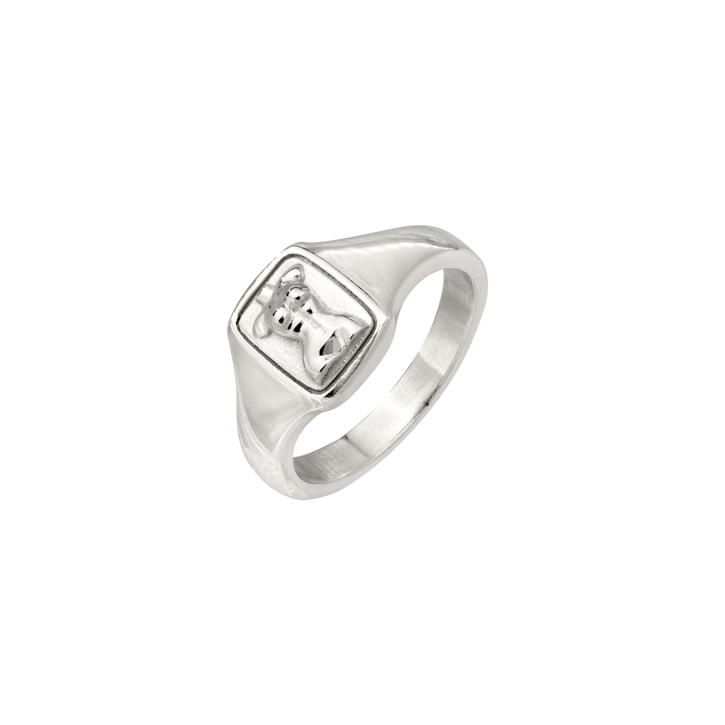 Venus Vitality Ring Silver