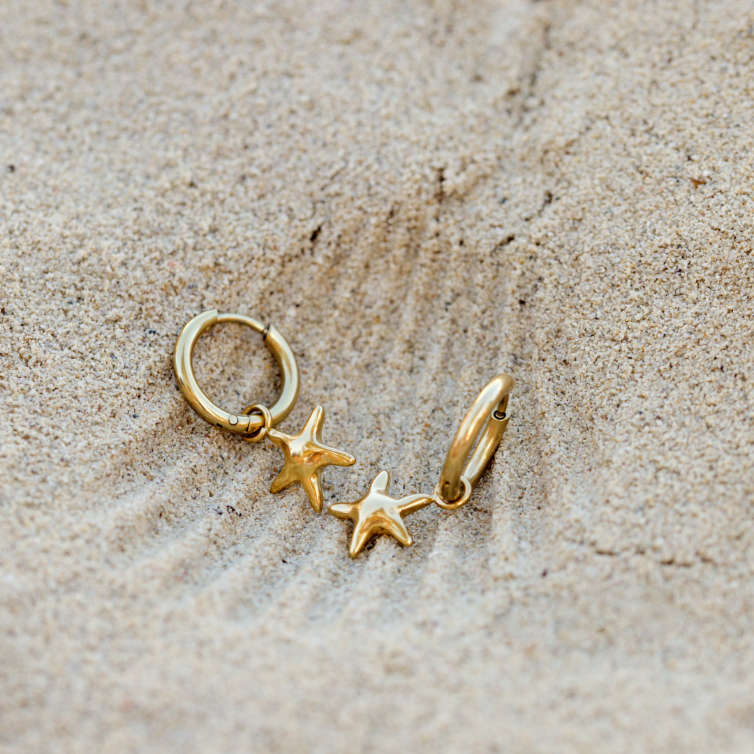 Sea Star Hoop Set Small Silver