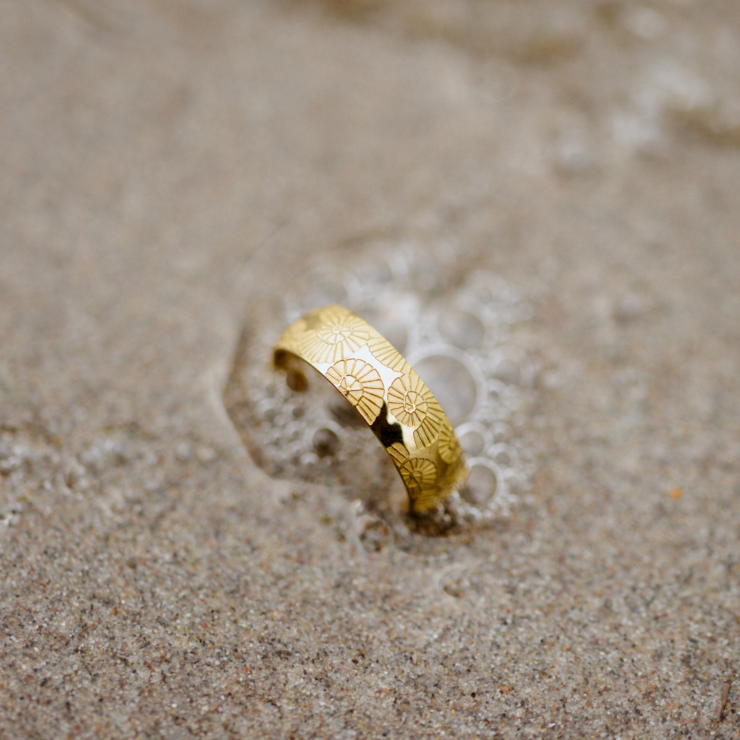 Ammonite Shell Ring Silver