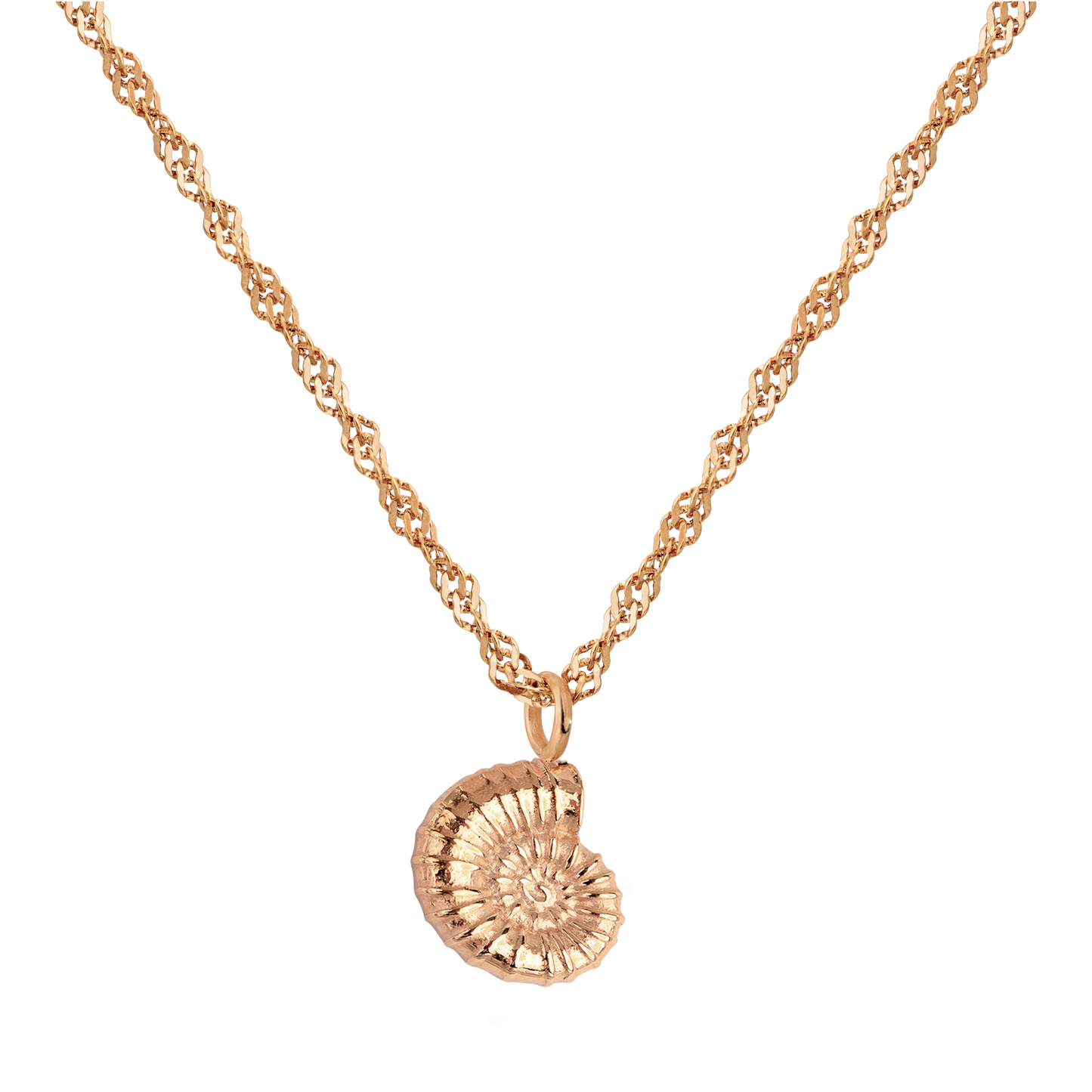 Shell Seeker Necklace Rose Gold