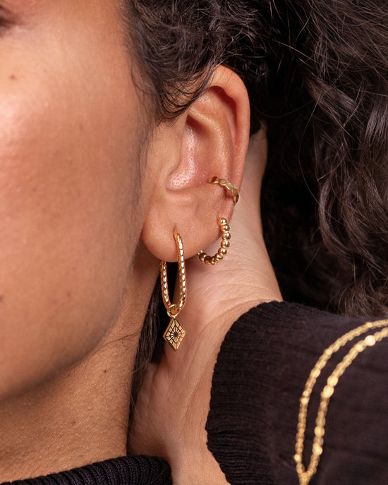 Pellet Hoops gold