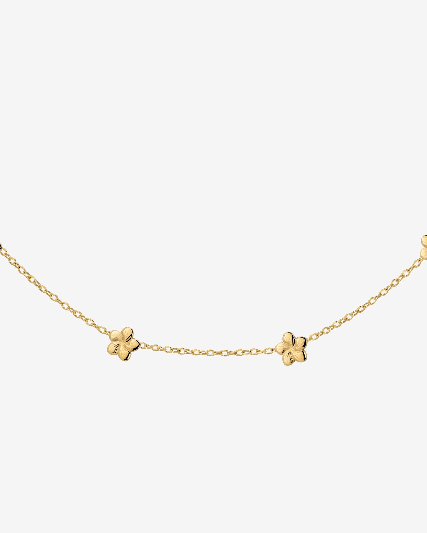 [[Color:gold]]