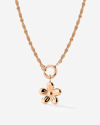 [[Color:Rose Gold]]