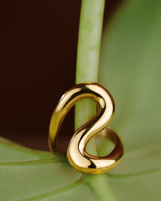 Coiled Ring Silver