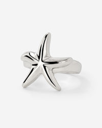[[Color:Silver]]