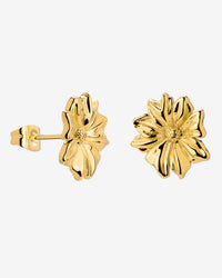 [[Color:Gold]]