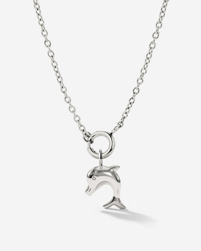 Dolphin Classic Chain Necklace Set Silver