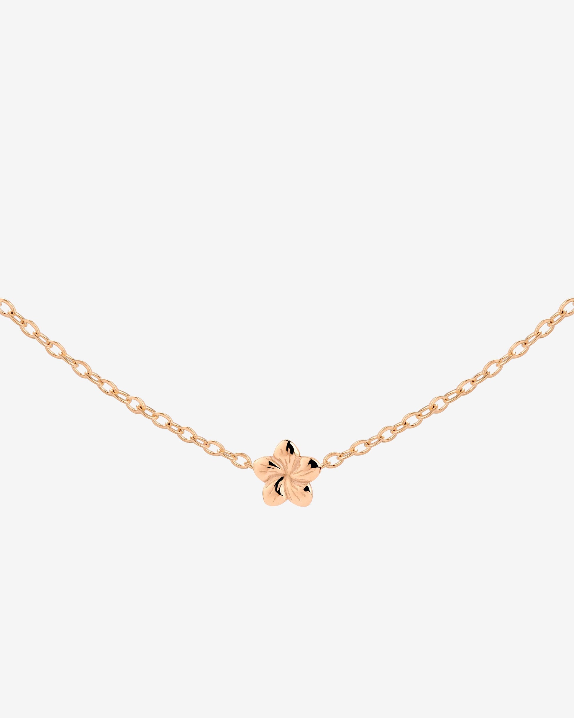 Floral Glow Choker Rose Gold
