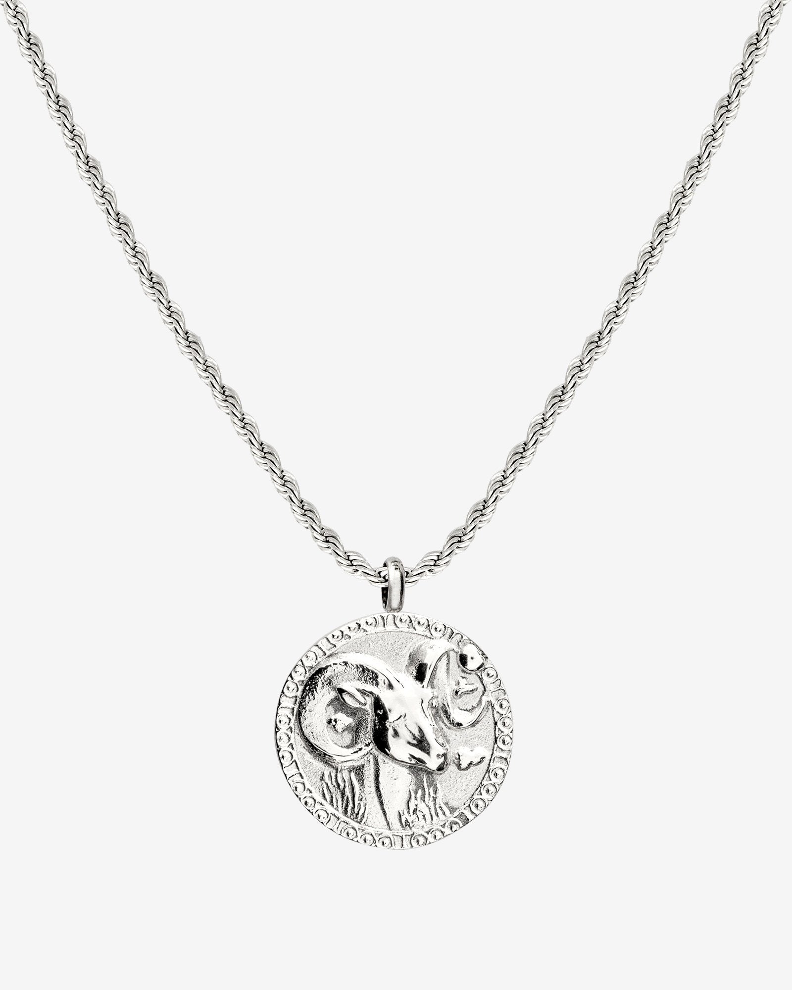Zodiac Sign Necklace Silver