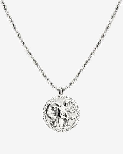 Zodiac Sign Necklace Silver