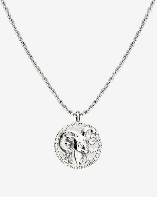 Zodiac Sign Necklace Silver