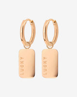 Lucky Pendant Hoop Set Small Rose Gold