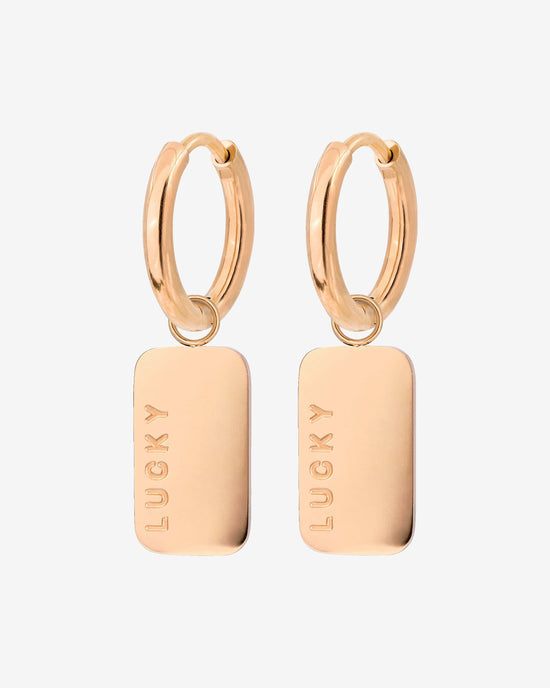 Lucky Pendant Hoop Set Small Rose Gold