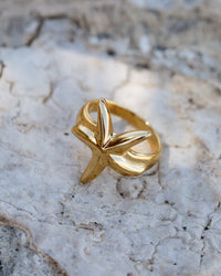 [[Farbe:Gold]]