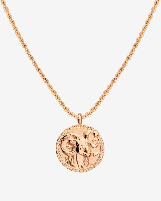 Zodiac Sign Necklace Rose Gold