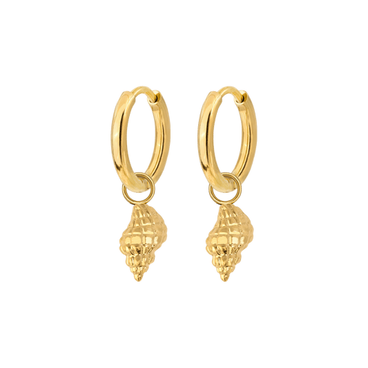 Conch Shell Hoop Set Gold