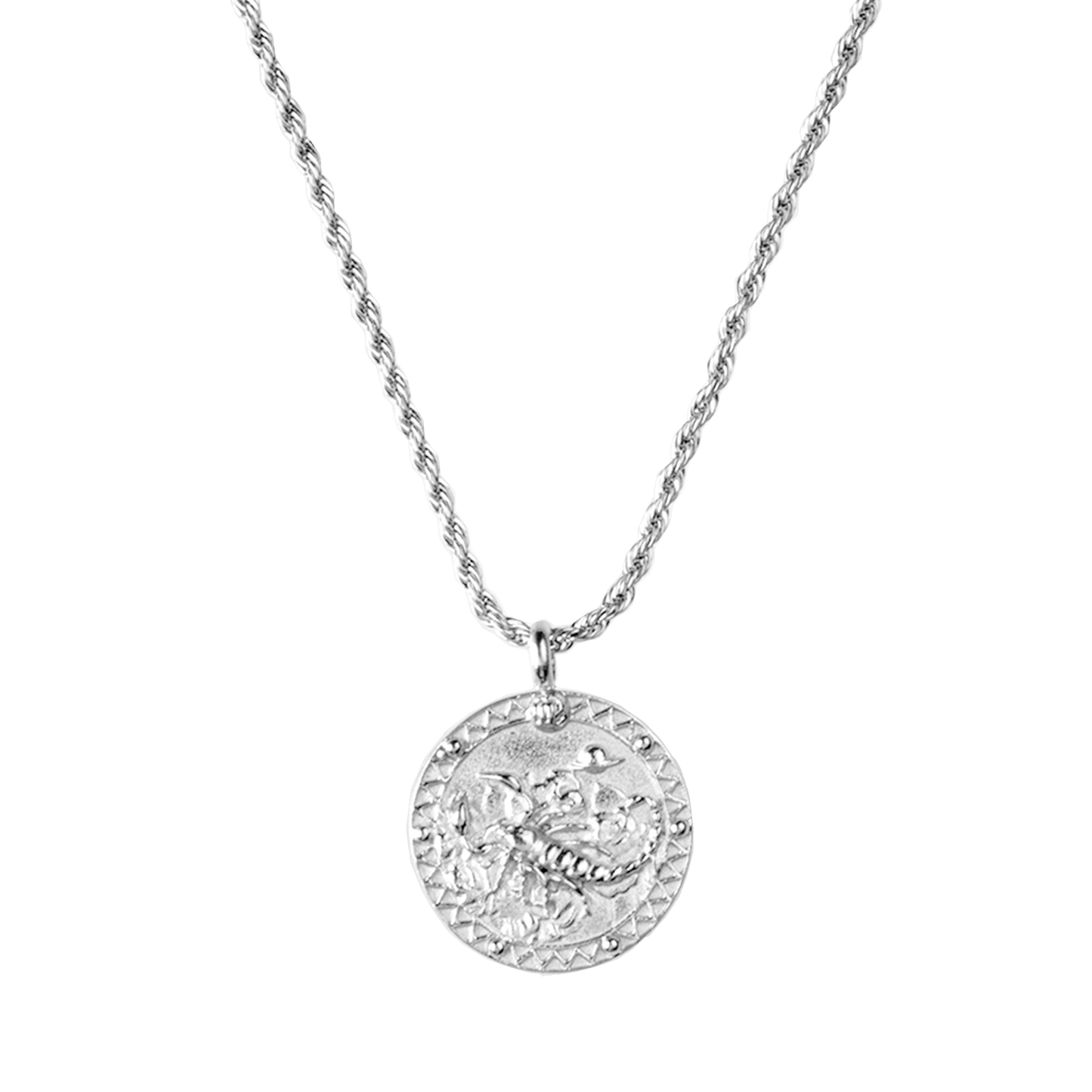 Zodiac Sign Necklace Silver