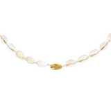 One in a Shell Choker Gold