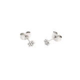 Blooming Studs Silver