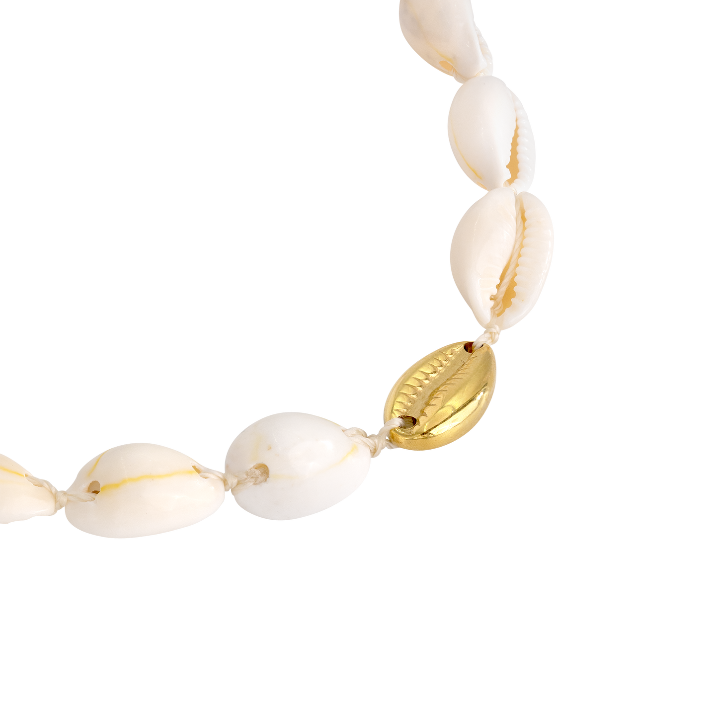 One in a Shell Choker Gold