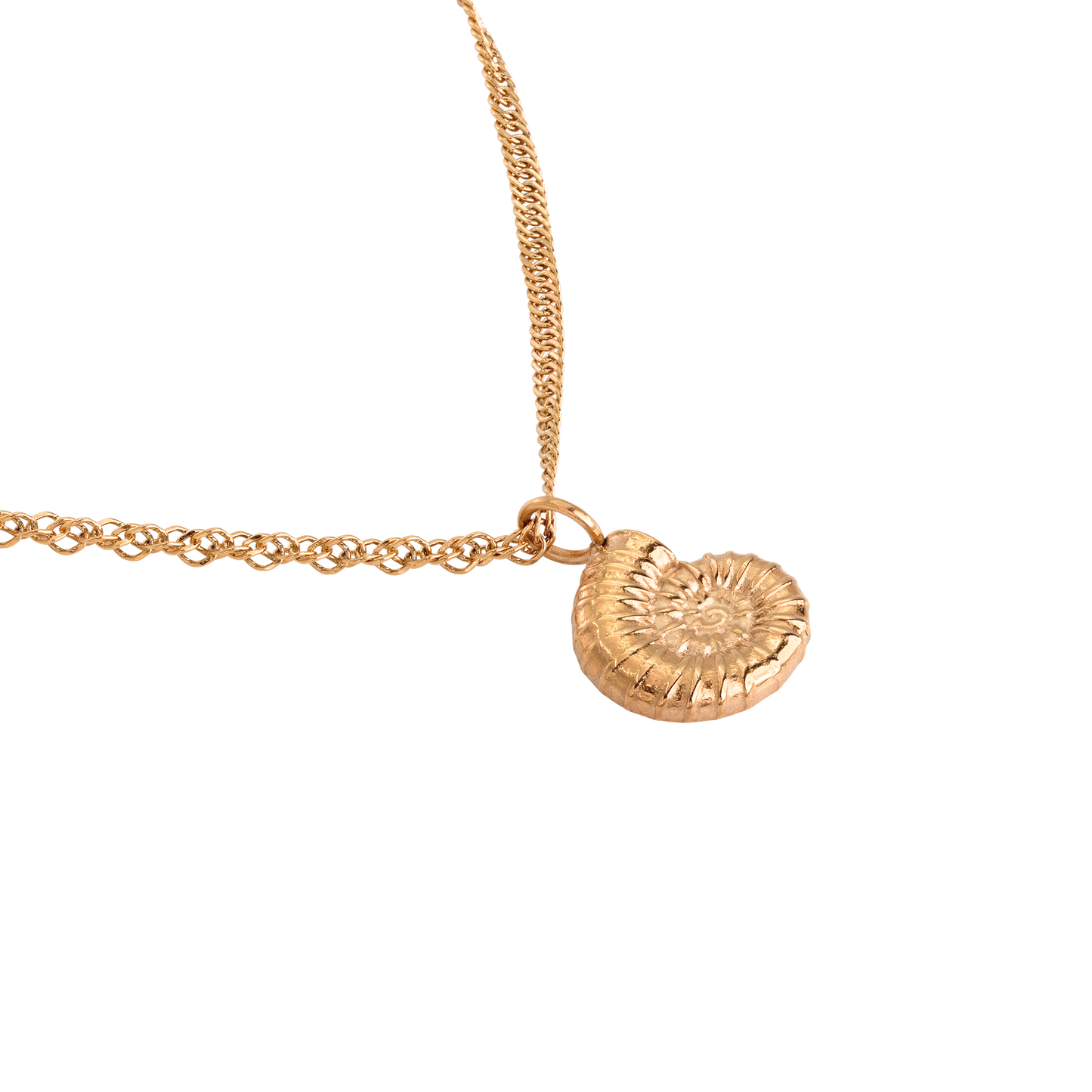 Shell Seeker Necklace Rose Gold