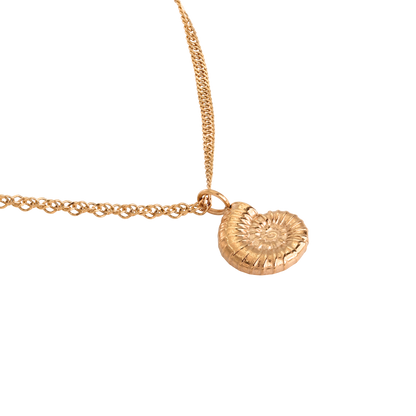 Shell Seeker Necklace Rose Gold