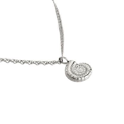 Shell Seeker Necklace Silver