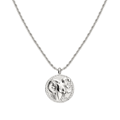 Zodiac Sign Necklace Silver