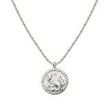 Zodiac Sign Necklace Silver