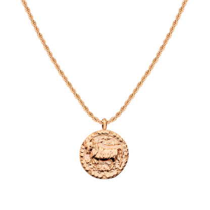 Zodiac Sign Necklace Rose Gold