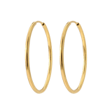 Maxi Hoops Gold