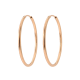 Maxi Hoops Rose Gold