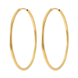 Extra Maxi Hoops Gold