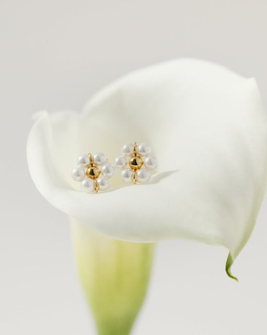 Daisy Studs Gold