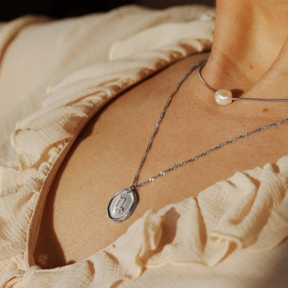 Zodiac Necklace Silver