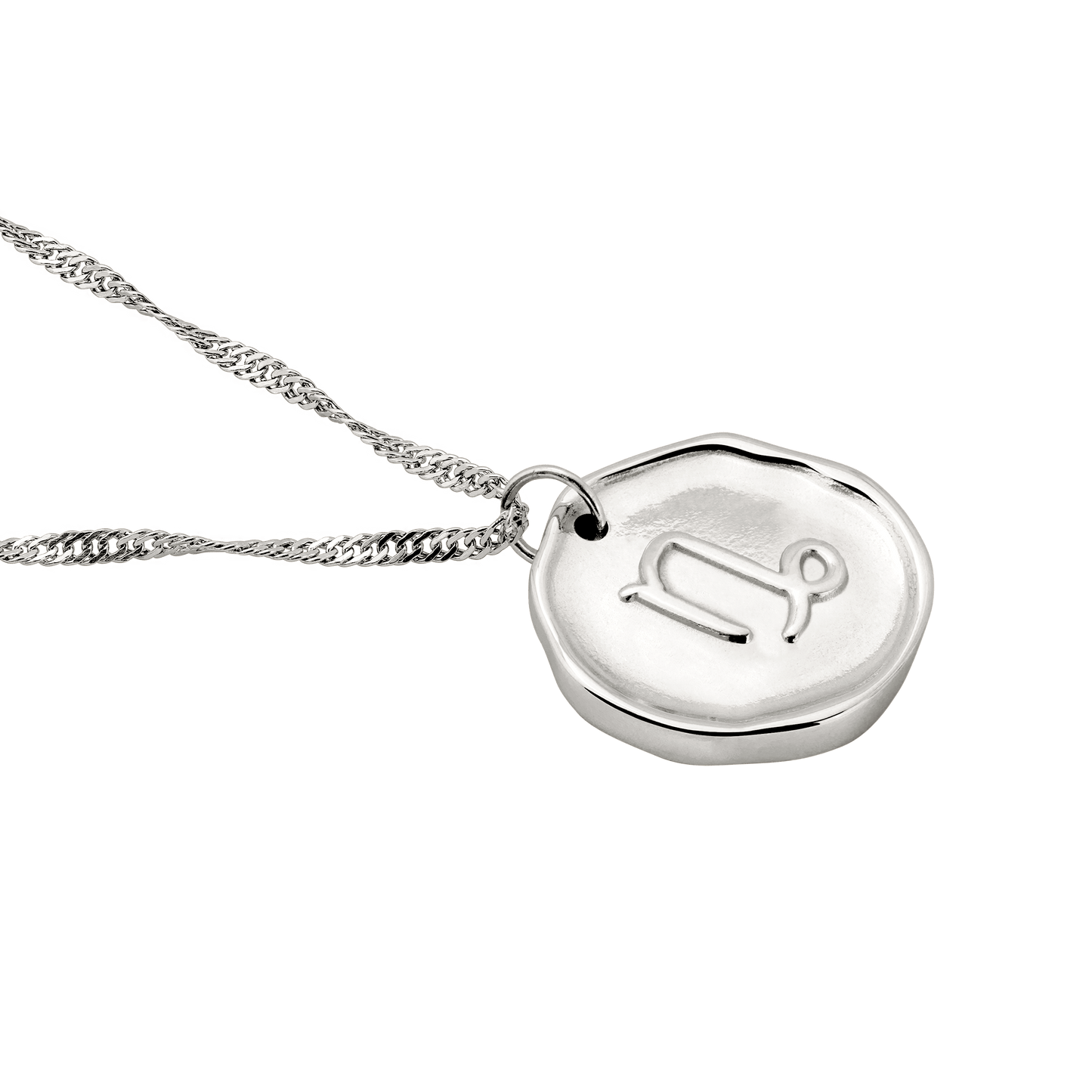 Zodiac Necklace – Capricorn Silver