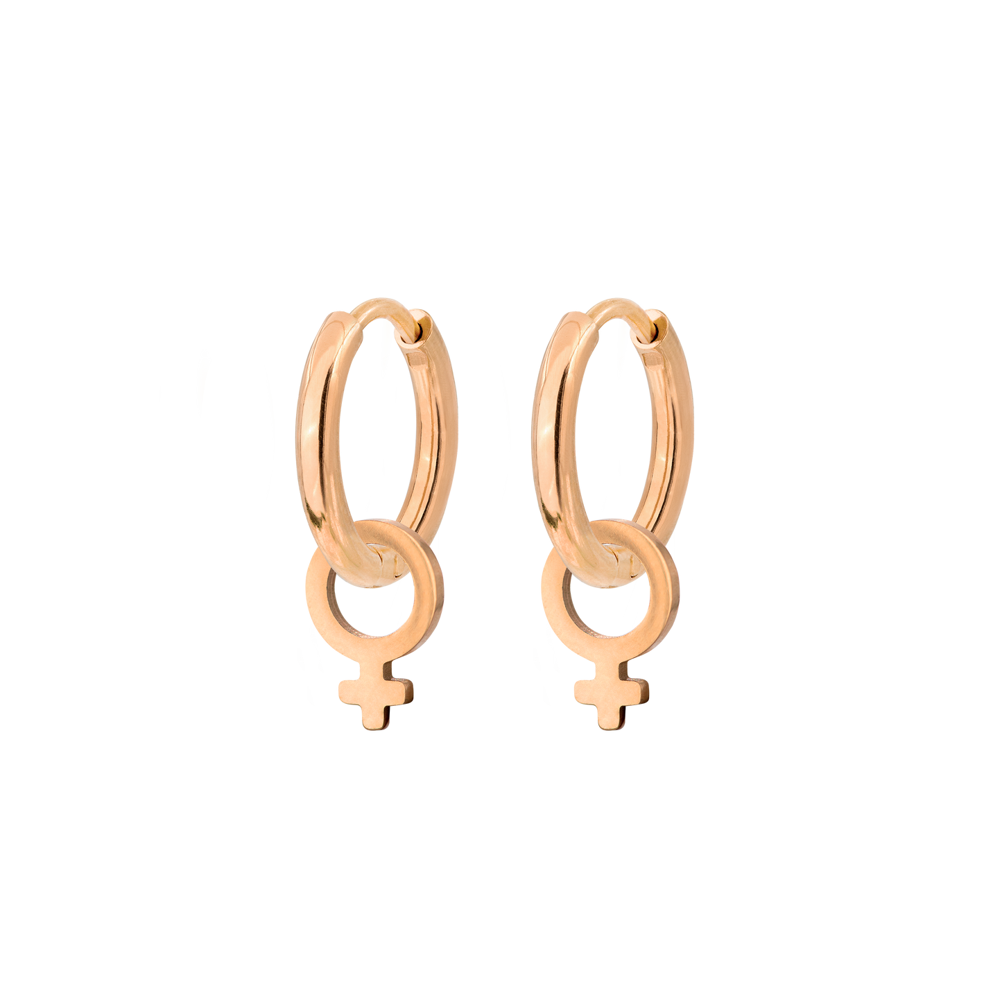 Female Icon Hoop Set Small Rose Gold