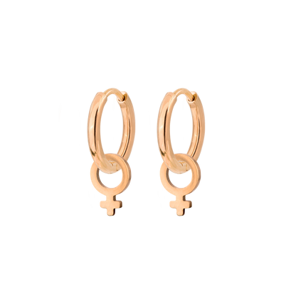 Female Icon Hoop Set Small Rose Gold