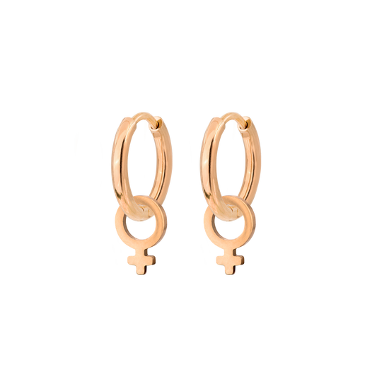 Female Icon Hoop Set Small Rose Gold