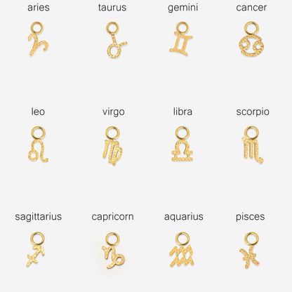 Zodiac Charm Bundle