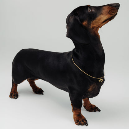 Shorty Rope Chain Necklace Set Gold