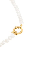 [[Color:gold]]