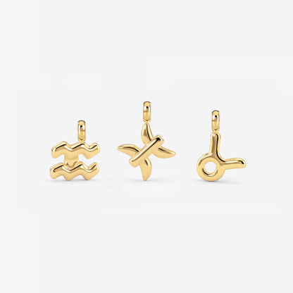 Bubble Zodiac Necklace Charms