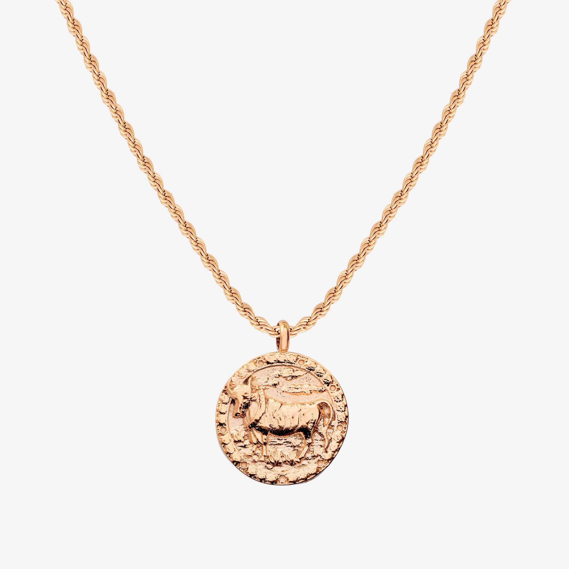 Zodiac Sign Necklace Rose Gold